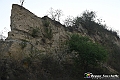VBS_5574 - C'è un mare di velluto verde! E tu che sognavi di andare lontano... Quanta meraviglia, quì!